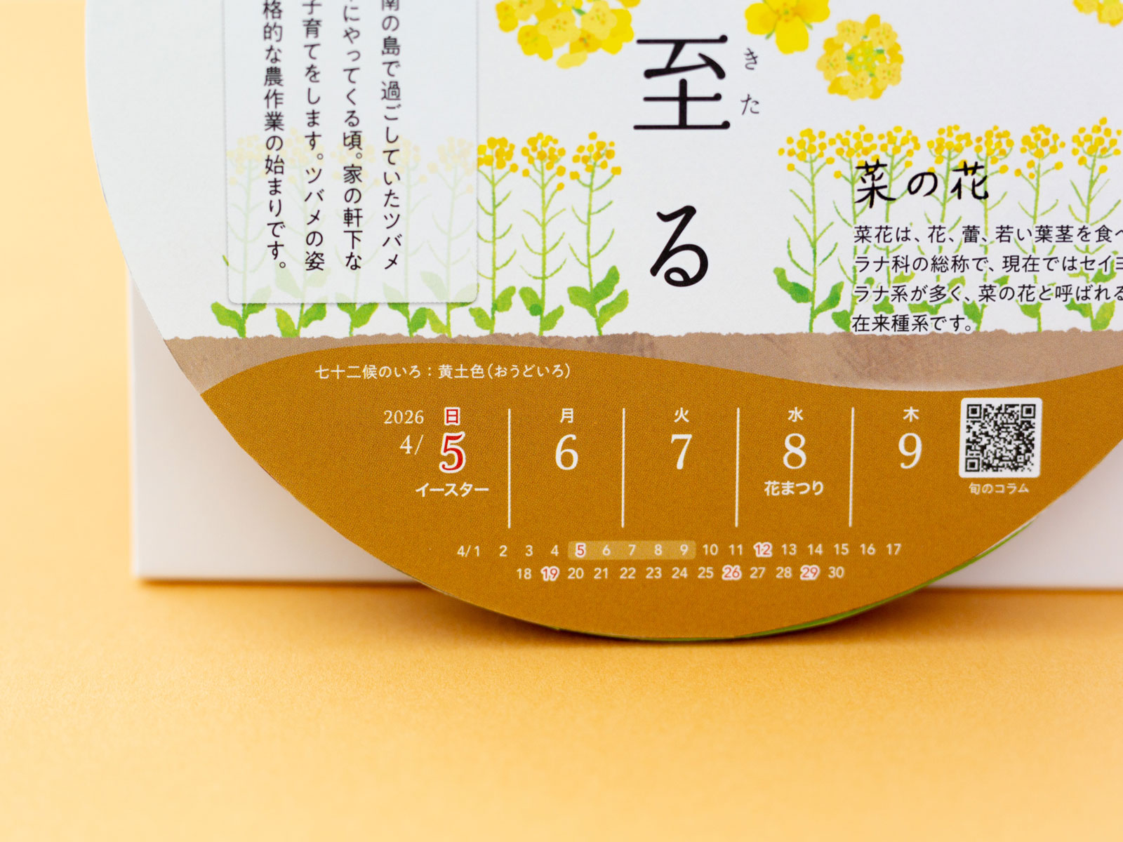 きの子ページ Amazon.co.jp: NK8961 New Japan Calendar 2025 Calendar