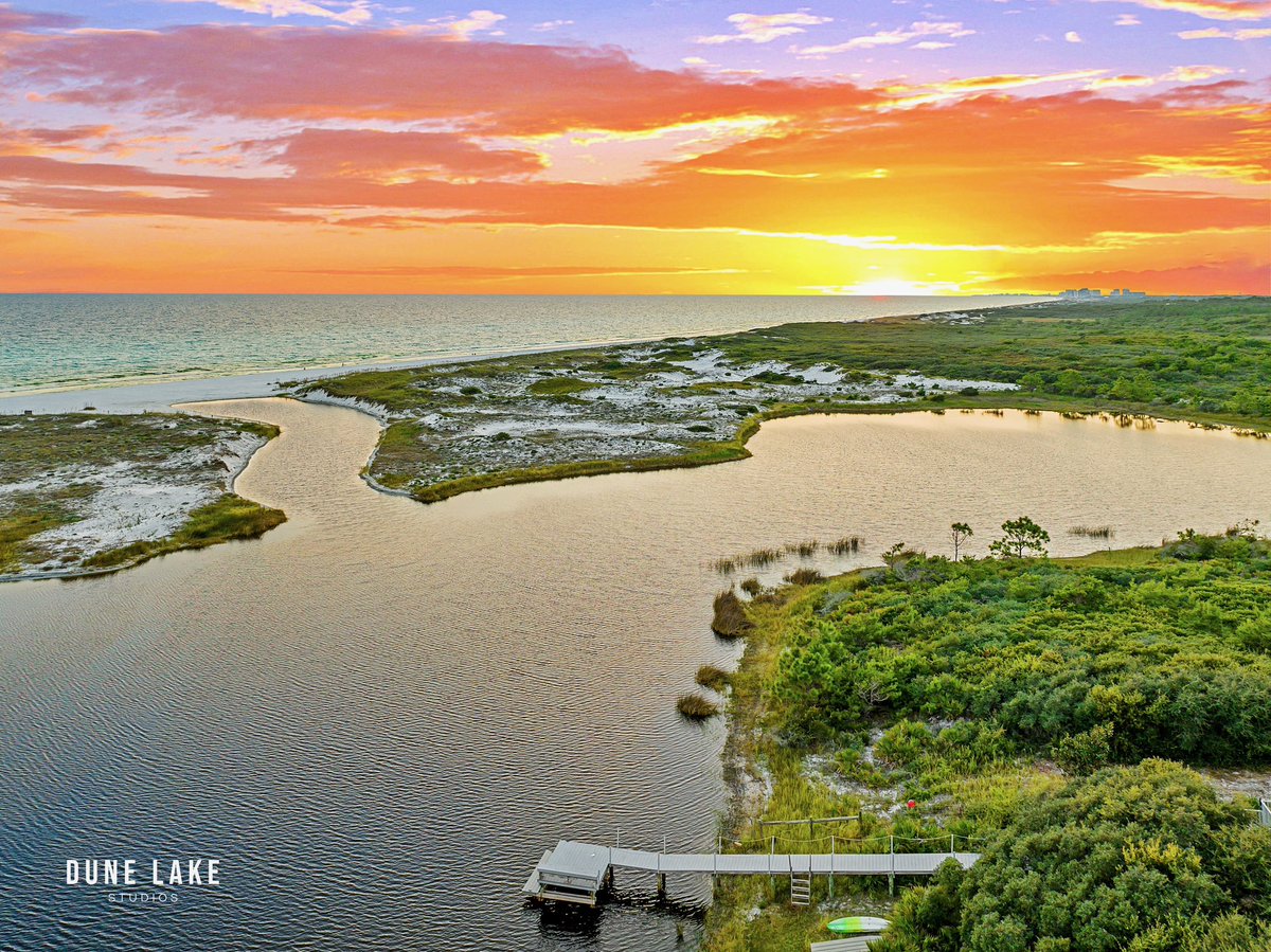 David Warren tweet media