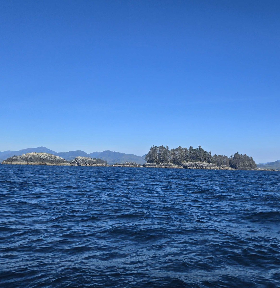 Nothing Is a Problem  - mailchi.mp/chenmark/footb… Lessons from unexpected places