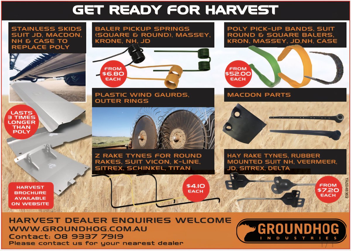 Groundhog tweet media