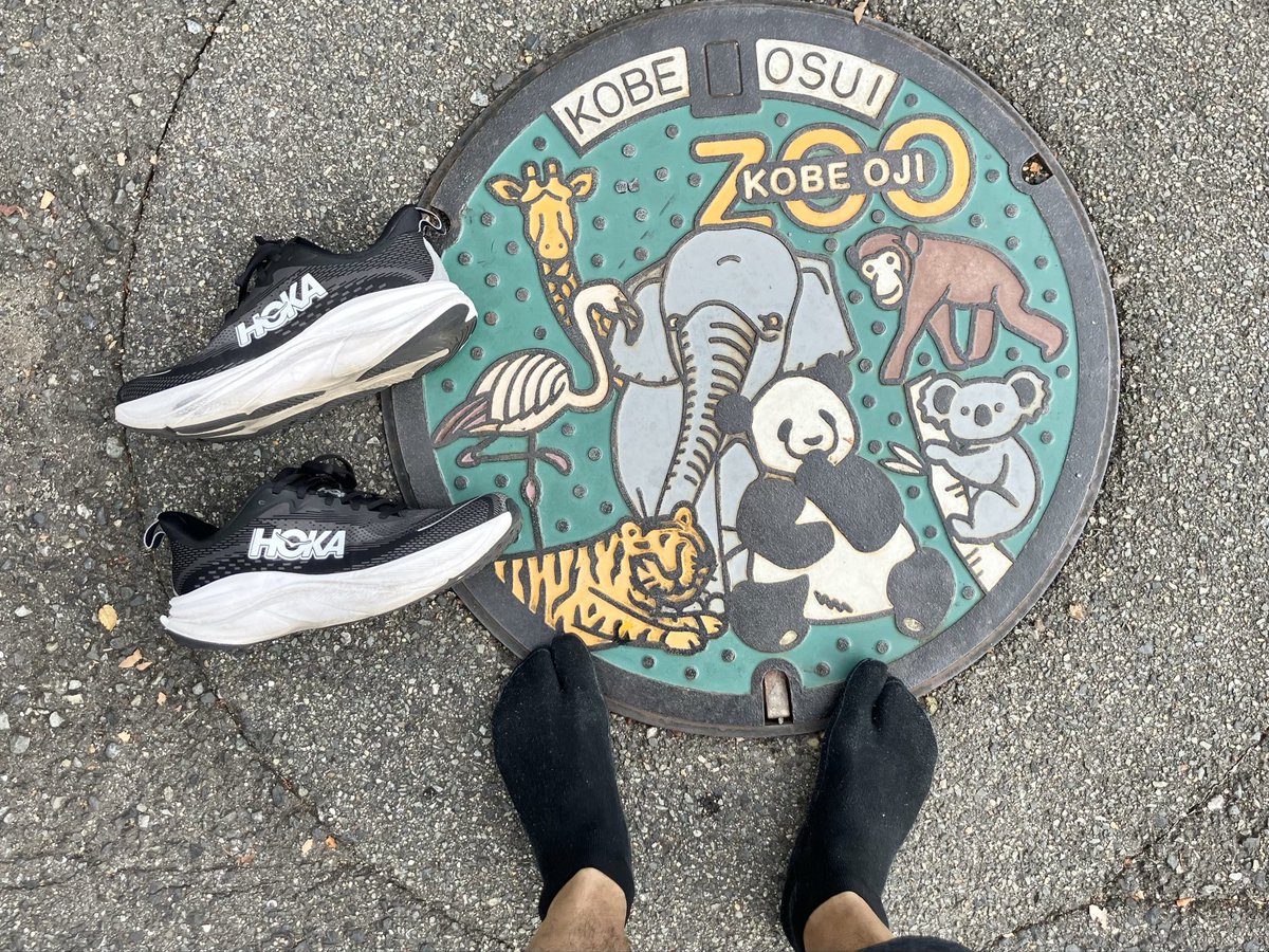 tripstar0522's tweet image. #朝ラン しました

今日は、しばらくぶりに動物園方面へジョグ。だいぶ走りやすくなって来ましたが、それでも汗が…💦
今回は、王子動物園入口前のカラーマンホール🕳️とともに📷

コース
新神戸→上筒井通→六甲バター本社→王子動物園→JR灘駅→科学技術高校→旧西国街道→三宮

#HOKA  #SKYFLOW