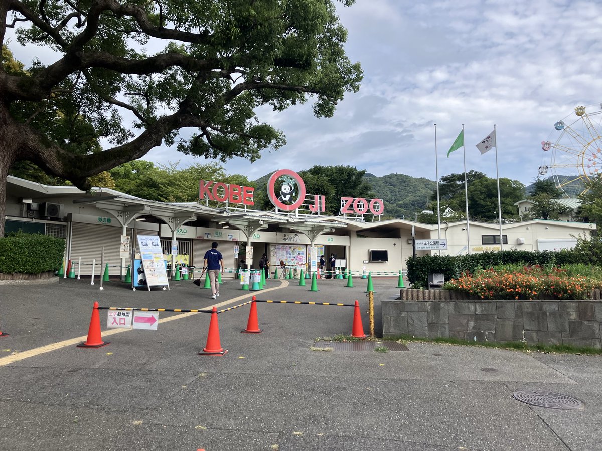 tripstar0522's tweet image. #朝ラン しました

今日は、しばらくぶりに動物園方面へジョグ。だいぶ走りやすくなって来ましたが、それでも汗が…💦
今回は、王子動物園入口前のカラーマンホール🕳️とともに📷

コース
新神戸→上筒井通→六甲バター本社→王子動物園→JR灘駅→科学技術高校→旧西国街道→三宮

#HOKA  #SKYFLOW