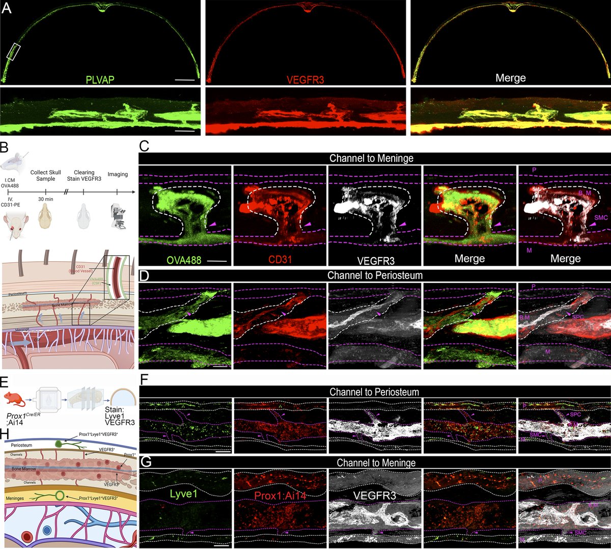 John Lukens tweet media