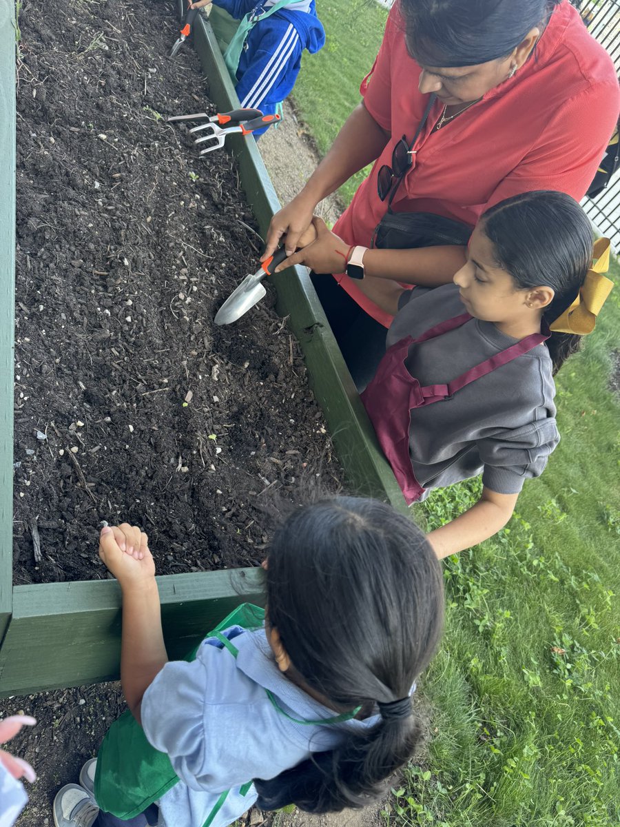 🌱 During Science, class 305 got hands-on with nature! Students planted seeds, learned what plants need to grow, and will be watching life sprout right before their eyes. 🌞💧🌿
