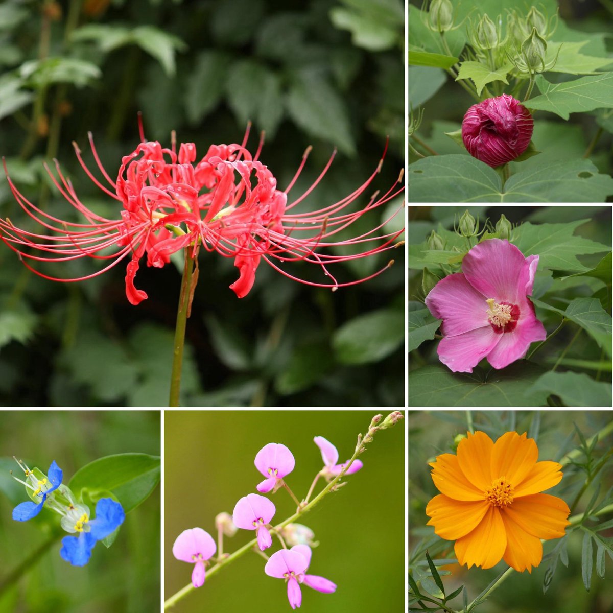 yukkiページ Original Mimaki JV34 TS34 Slider Board MP-E106496 E400745-0 Pb/f