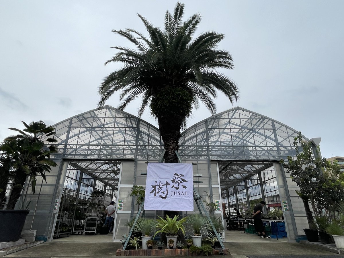 STAFF_take's tweet photo. #樹祭2025autumn
Openしています🌴
小雨ですが涼しいです！ https://t.co/rEQ8zezIZn