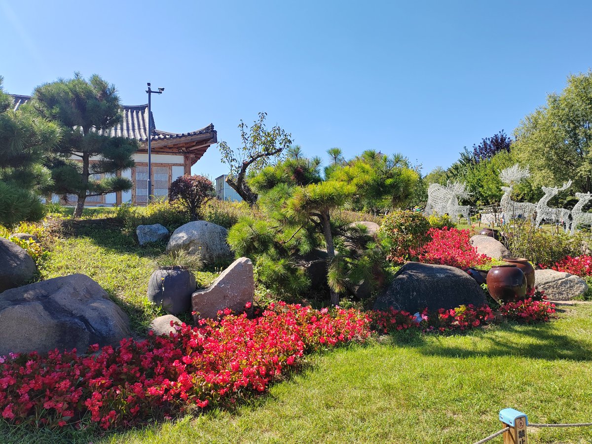 Alice166166's tweet image. 周末愉快