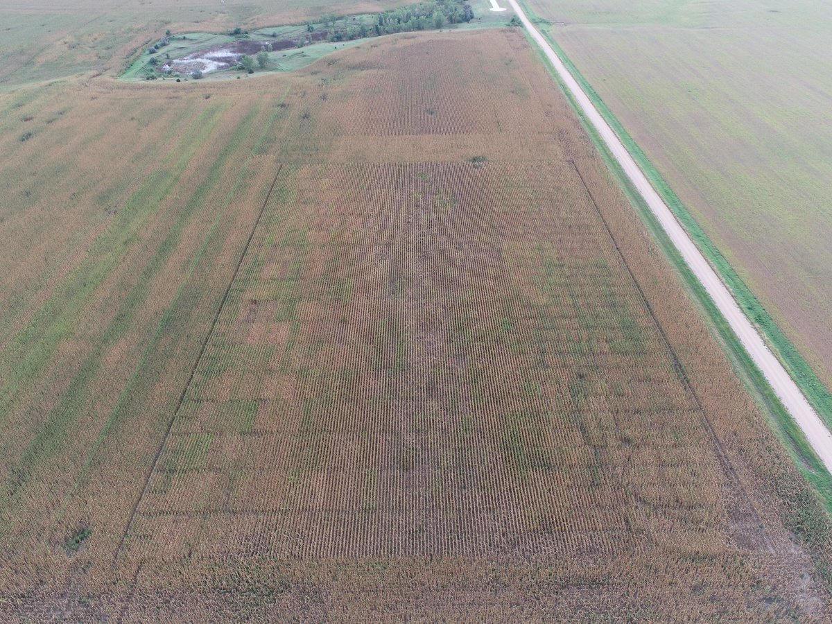 Trevor Houghton tweet media