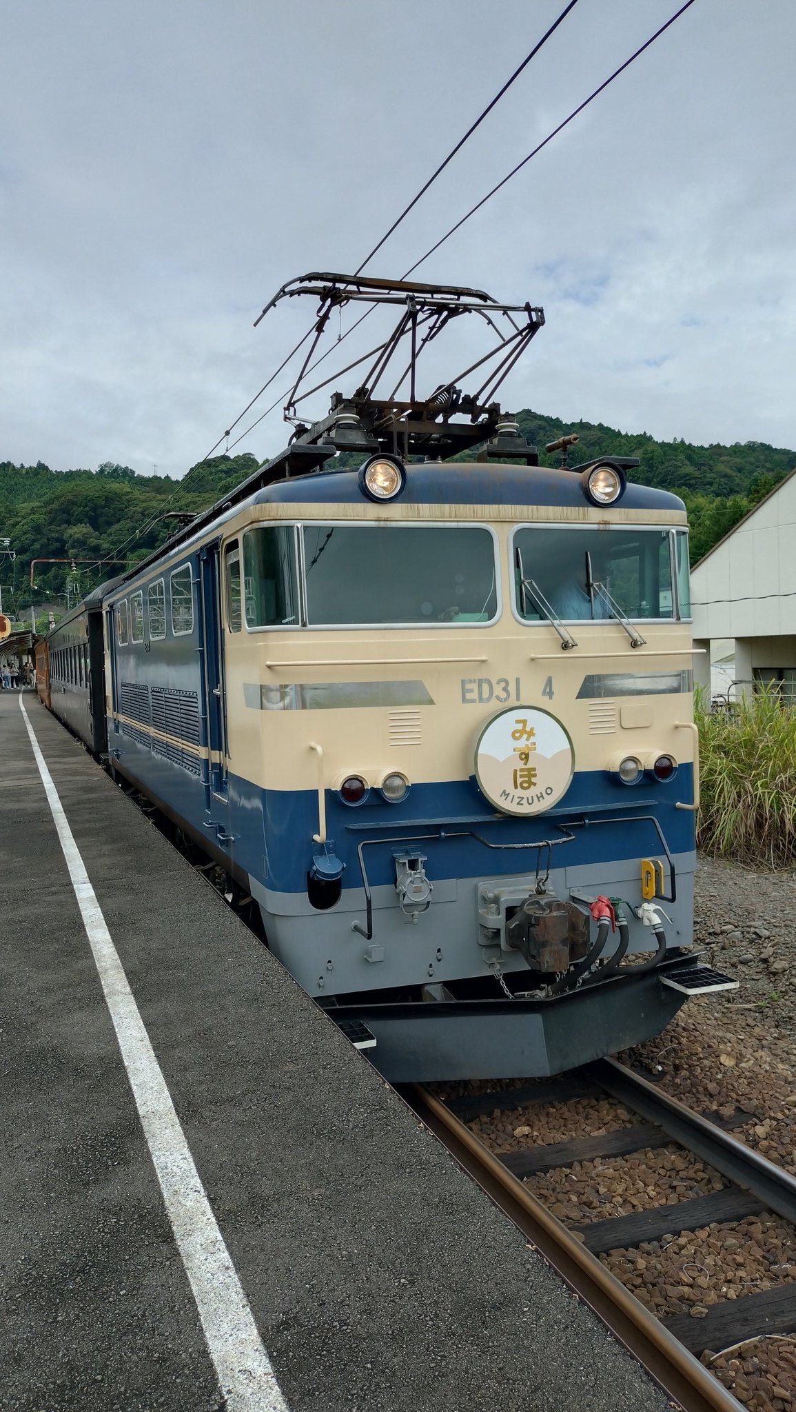 たけしページ ビートたけし手掛ける「キタノブルー」×417 エディフィスのT