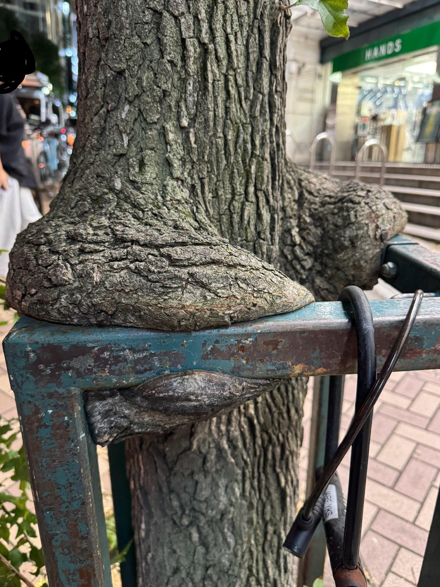 まーくんページ まーくん (@KHAOS_MAHKUN) / X