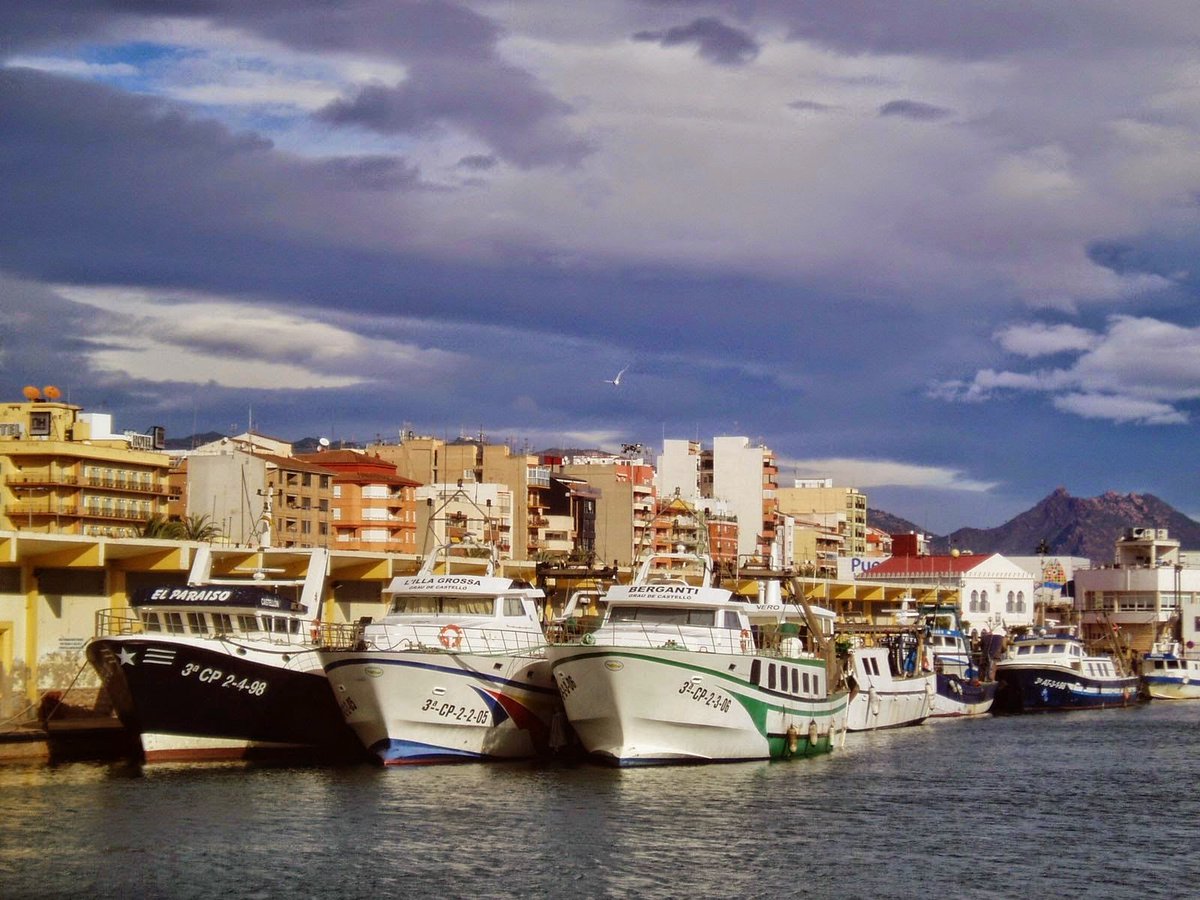 QuiquetGrao's tweet photo. XVI Foro Científico de la Pesca Española en el Mediterráneo en el Grau de Castelló. https://t.co/n5rBOrcVbP #foro #pesca #Mediterranean #mediterraneo #graudecastello #castello #fundaciónazulmarino #cientifico #planetario #española #rayas #tiburones #grau https://t.co/5q7V7F3ayk https://t.co/HW29G9CQXO