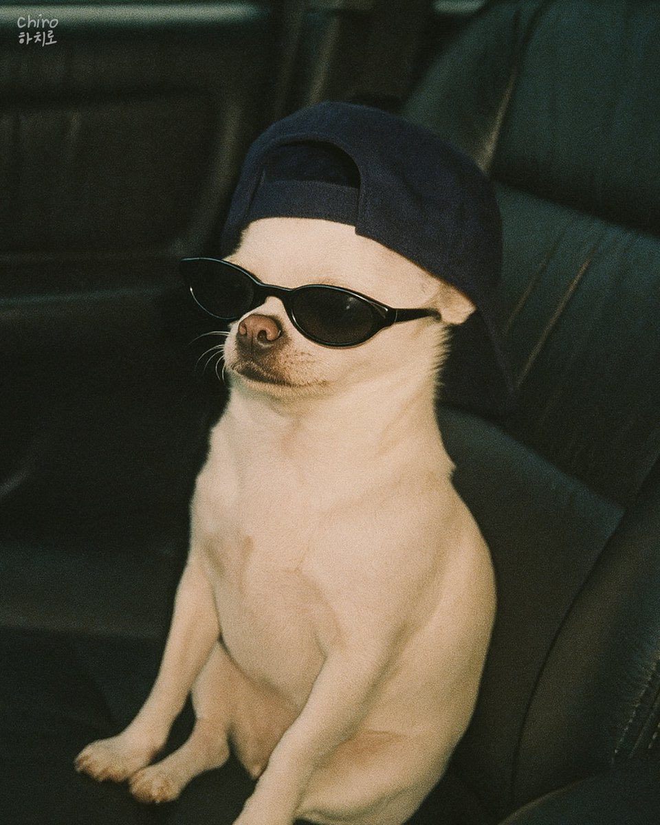 Thomas347146789's tweet image. So far so good, how are your online classes guys...are the assignments becoming to much to handle, any proctored exams? Stay strong brothers and Sisters, we are in this together😂✌ #Online #fallclasses 
iowa vs rutgers
brewers vs cardinals
india vs oman
red sox vs rays
padres