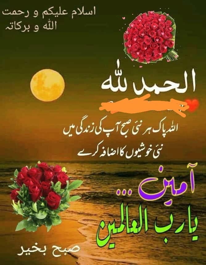 السلام علیکم ورحمتہ اللہ وبرکاتہ 
صبح بخیر زندگی