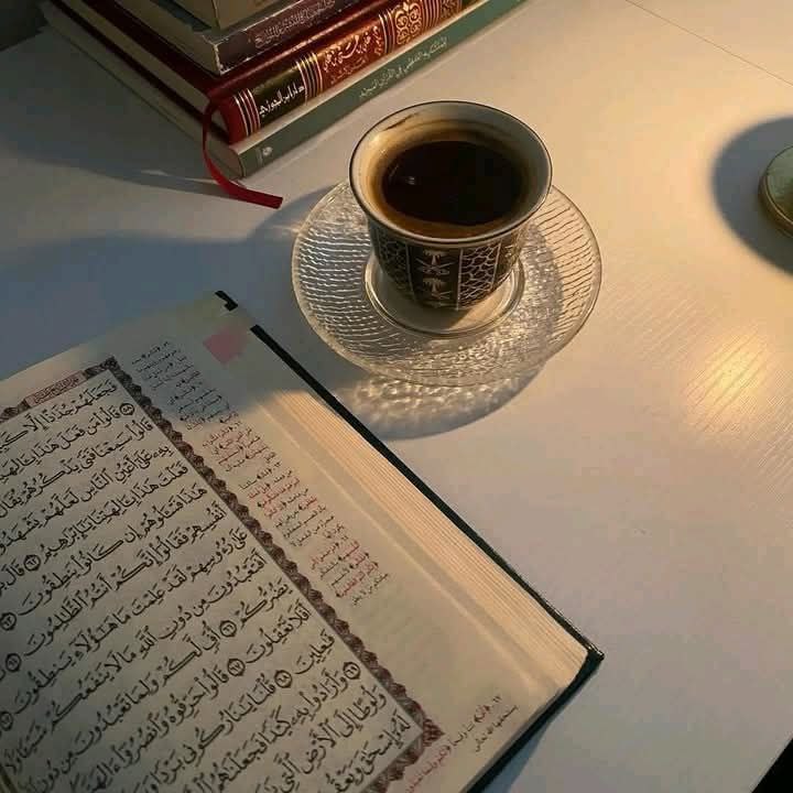 سألوه : كيف تجاوزتَ تلك الأيّام الثّقيلة ؟! 
فقال : رتّلت القرآن ، رتلته كثيرًا.

💙..