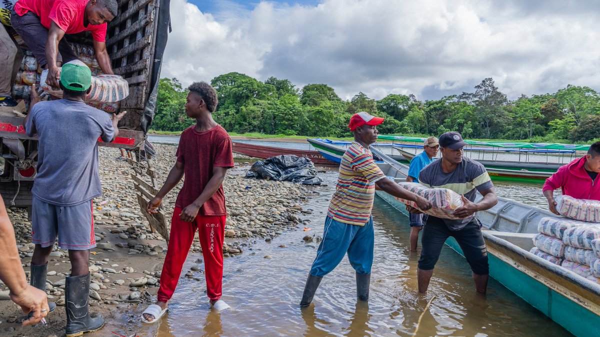 USEmbassyBogota's tweet photo. 💡¿Sabías que Estados Unidos es el principal proveedor de asistencia humanitaria para Colombia? Actualmente, Estados Unidos proporciona 138 millones de dólares en asistencia que salva vidas en las poblaciones más vulnerables de Colombia. 🇺🇸🤝🇨🇴

🌎 Colombia recibe más del 30% de toda la asistencia humanitaria que Estados Unidos proporciona a Sudamérica.

🤝 Desde enero de 2024, la Embajada de Estados Unidos, por medio de sus sus socios, ha entregado asistencia alimentaria y nutricional vital a 231,000 personas en el Chocó que han sido desplazadas o confinadas por grupos armados ilegales.
