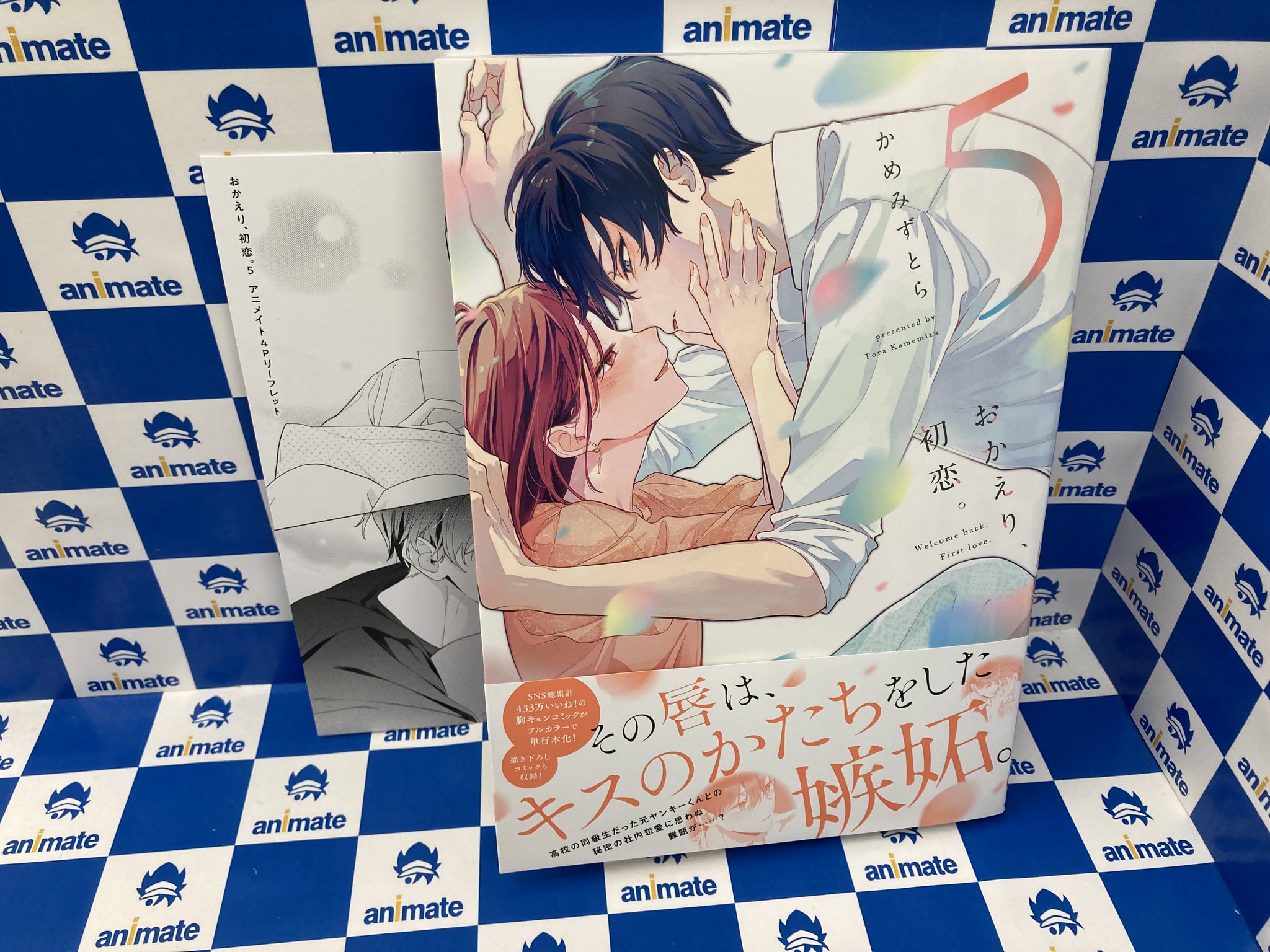 おかえり、初恋。(3) アニメイト限定セットPremium　リーフレット付 おかえり 初恋 3 （シルフコミックス S－103－3） かめ