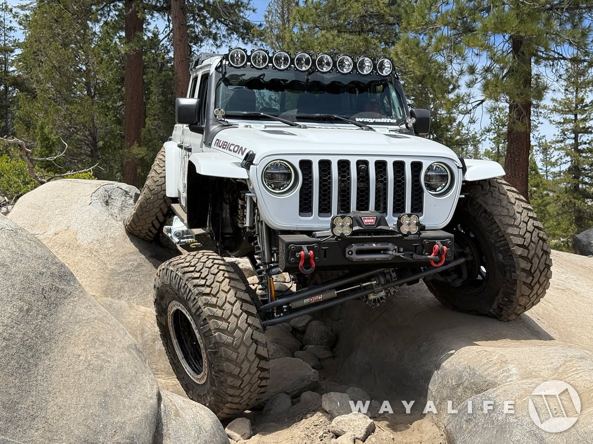 WAYALIFE tweet media