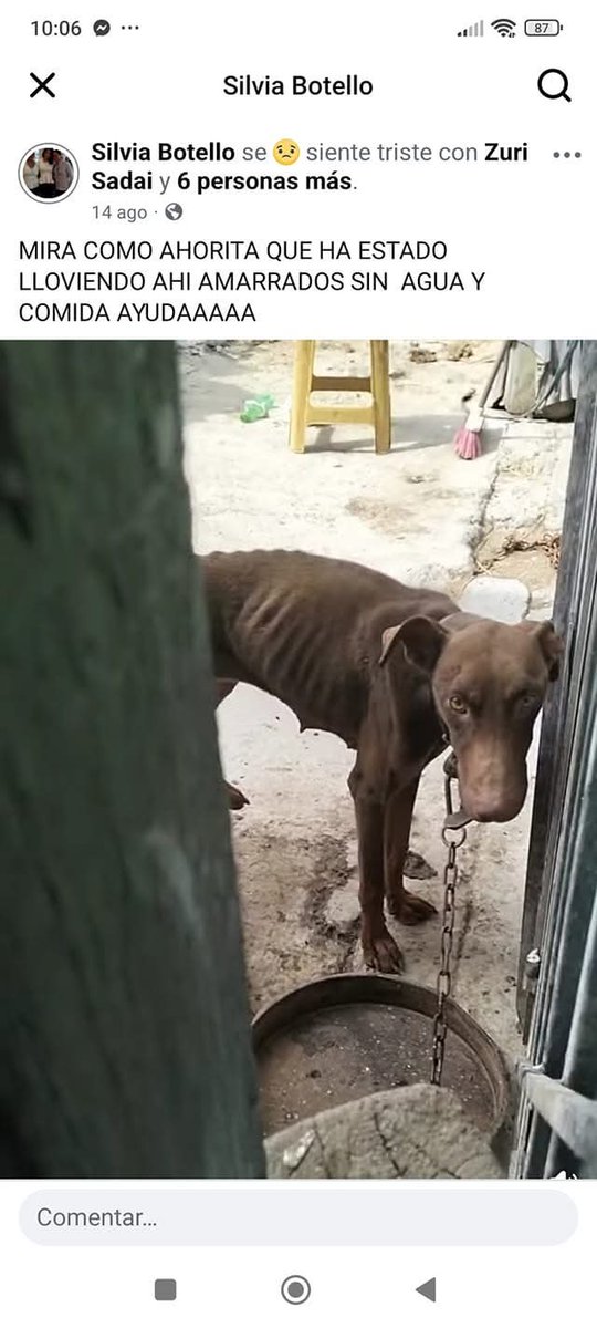 DenuncianimalMX's tweet photo. @PAOTmx @GobCDMX @craviotocesar @MetropolisCDMX @A_Encinas_R @PlaneandoLaCDMX Folio PAOT -112730
creen que va a resistir más? Ya no hay manera de alimentarlos. Los están dejando morir. Puras promesas que iban a mandar una diligencia desde hace un mes 
@Frecda  @ClaraBrugadaM @PAOTmx @FiscaliaCDMX @plqntv @LaTropaDeToby https://t.co/GKngJ2OYNH