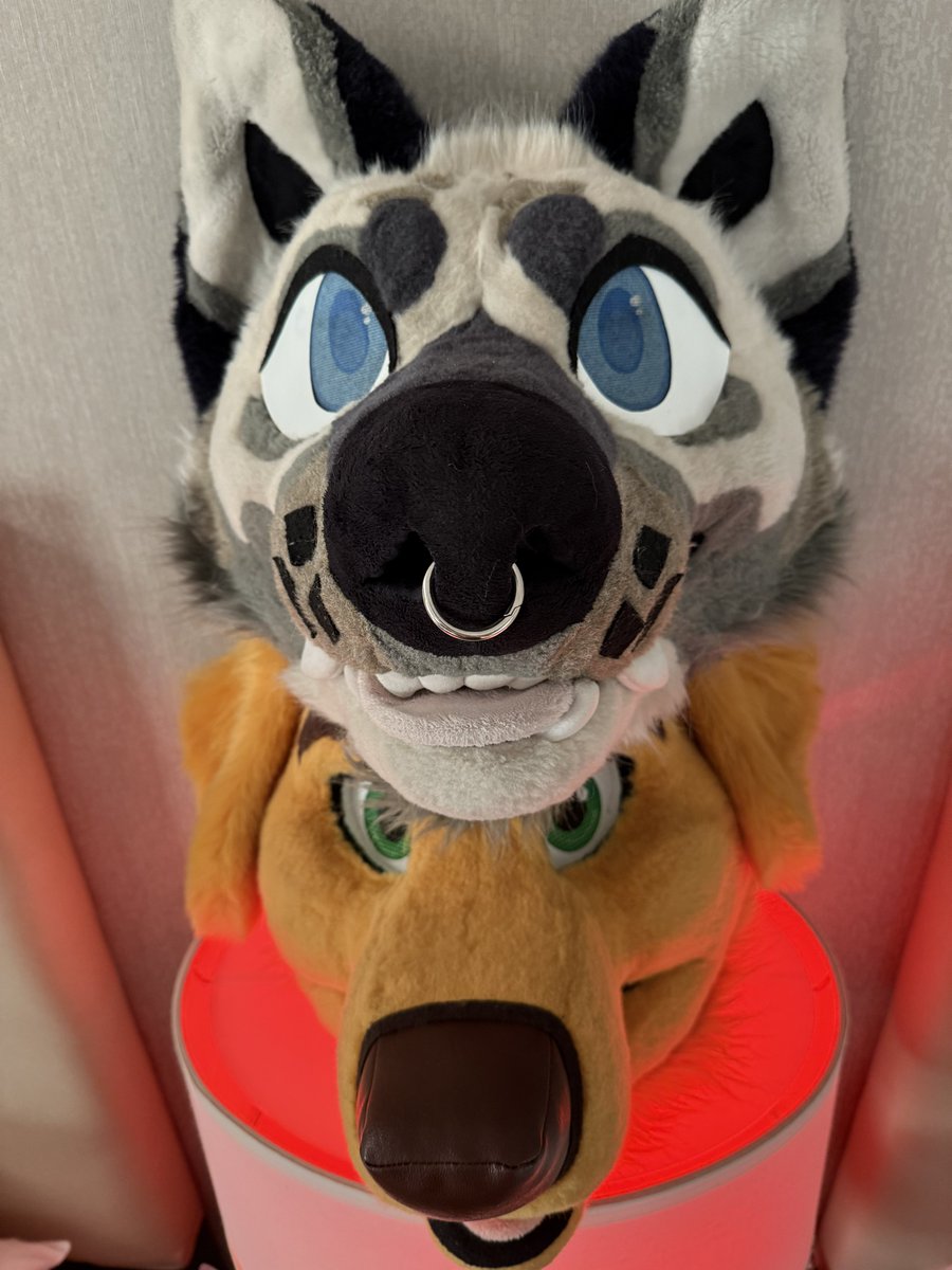 MUTT MAN (@smolmutt) / Posts / X