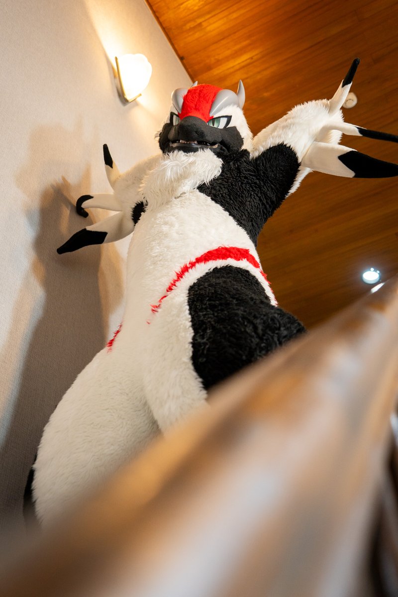 ドラスティックな朝クレの配給