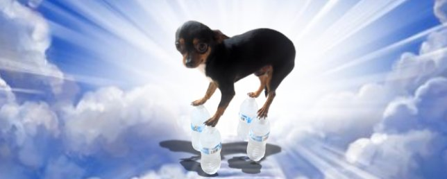 dash_devs's tweet image. Heavenly Balance $balance

CA:BoTHV4gt8XoTbTkSRejomY6y4rRV5V7YukQo553Wpump