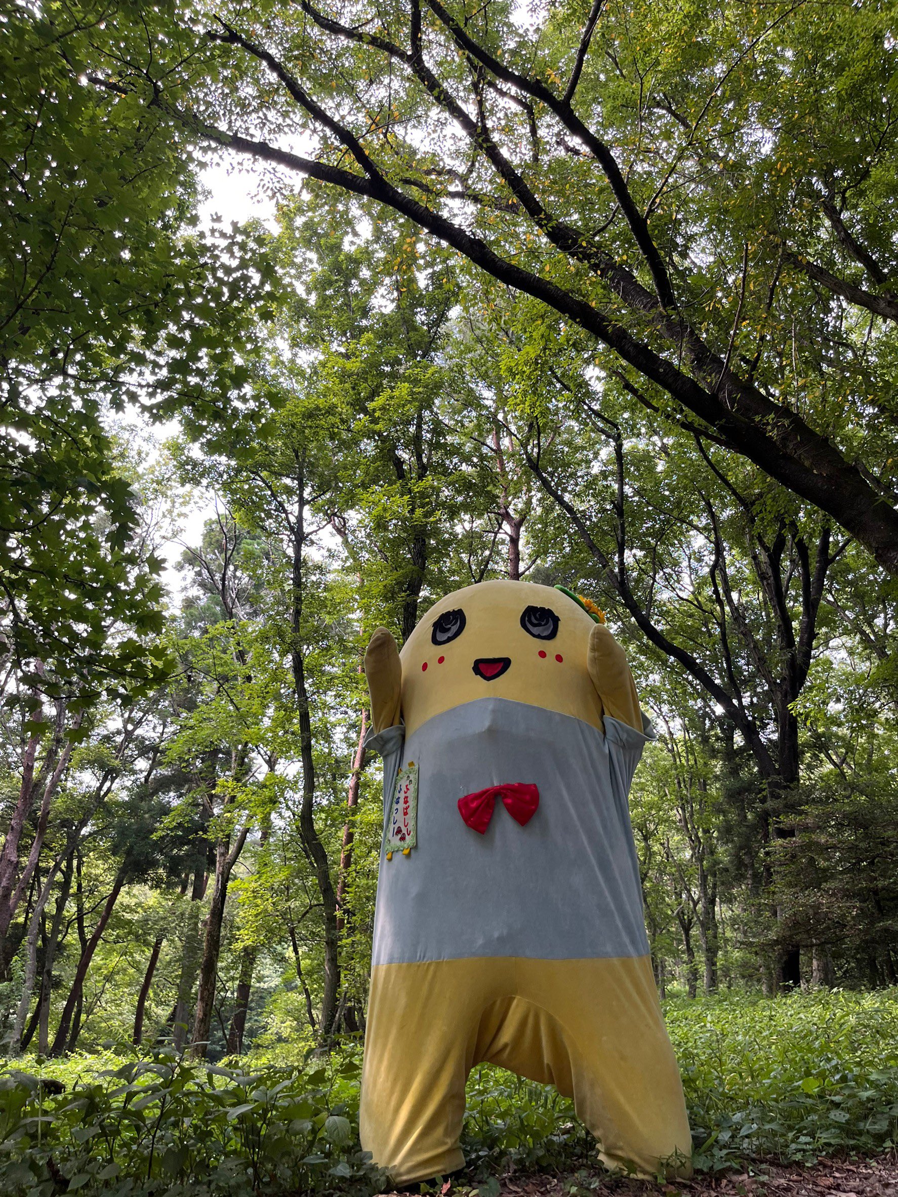 442 ふなっしー様 ふなっしー💙 (@funassyi) / X