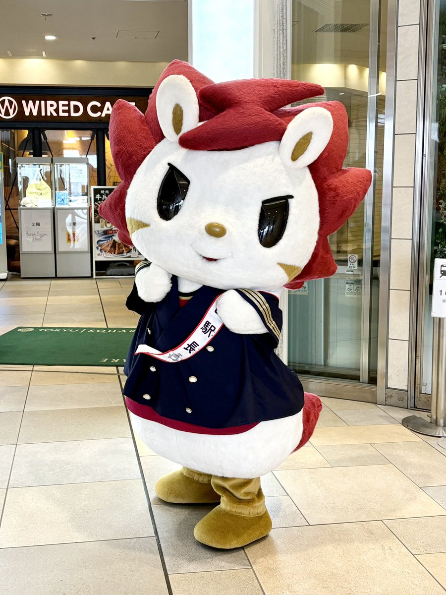 ayalu16g's tweet image. 東急線をご利用の皆様にご挨拶⚡️

#ロウル 
#ロウルかわいいよロウル 
#川崎ブレイブサンダース