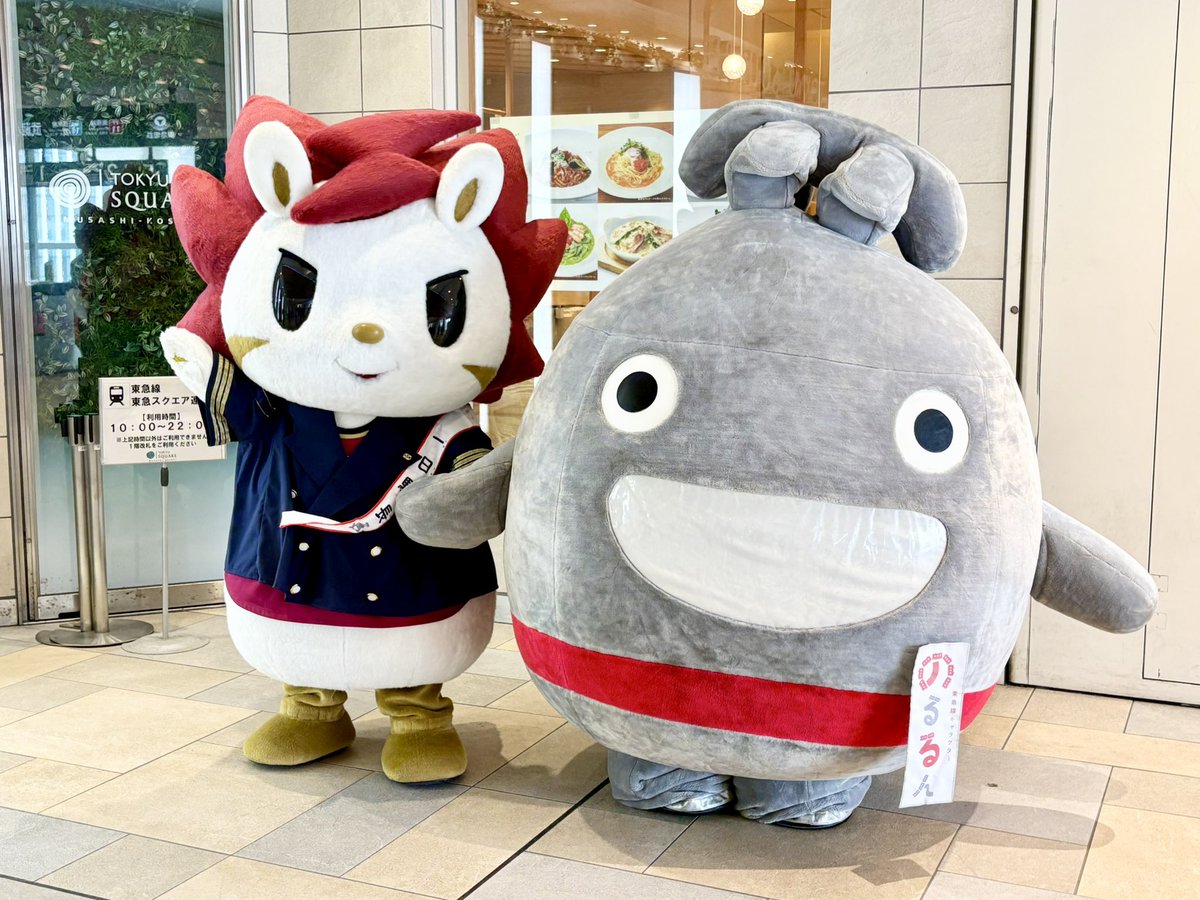 ayalu16g's tweet image. 東急線をご利用の皆様にご挨拶⚡️

#ロウル 
#ロウルかわいいよロウル 
#川崎ブレイブサンダース