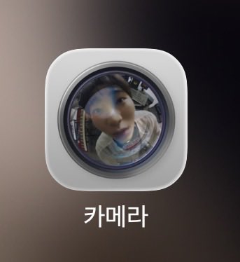 내 카메라에 고양이 있다 … 🐱