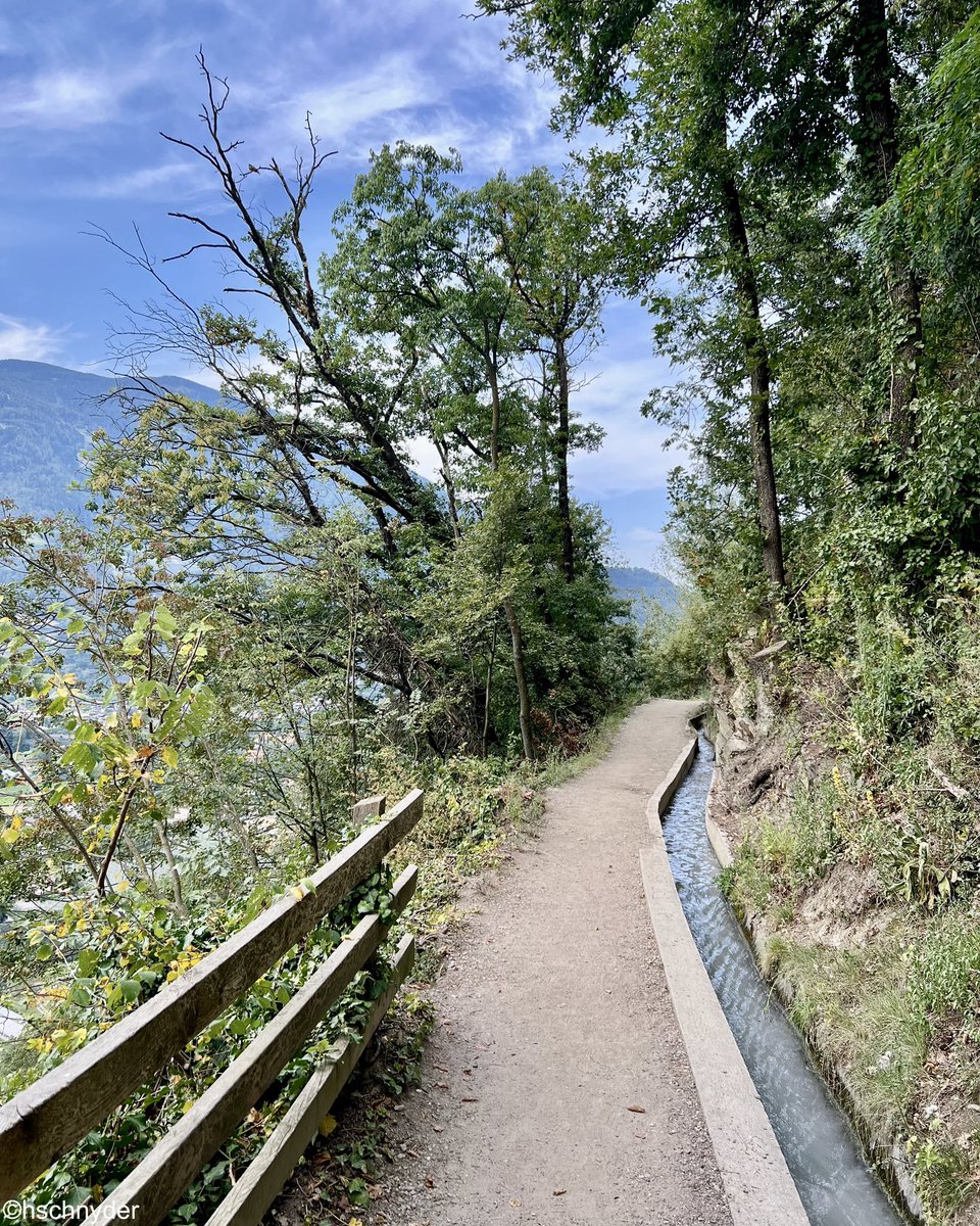 HrSchnyder's tweet photo. Dorf Tirol-Algund-Algunder
Waalweg
#dorftirol #algund #südtirol #wandern #hiking https://t.co/MHzXEMfafT