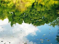 The photograph by me shows the Wadabori Retention Basin 和田堀遊水地 in Suginami-ku Tokyo, developed as a flood control measure for the Zenpukuji River 善福寺川. Because the river flooded during the Suginami Heavy Rainfall on 4 September 2005.

#Musashino   #武蔵野