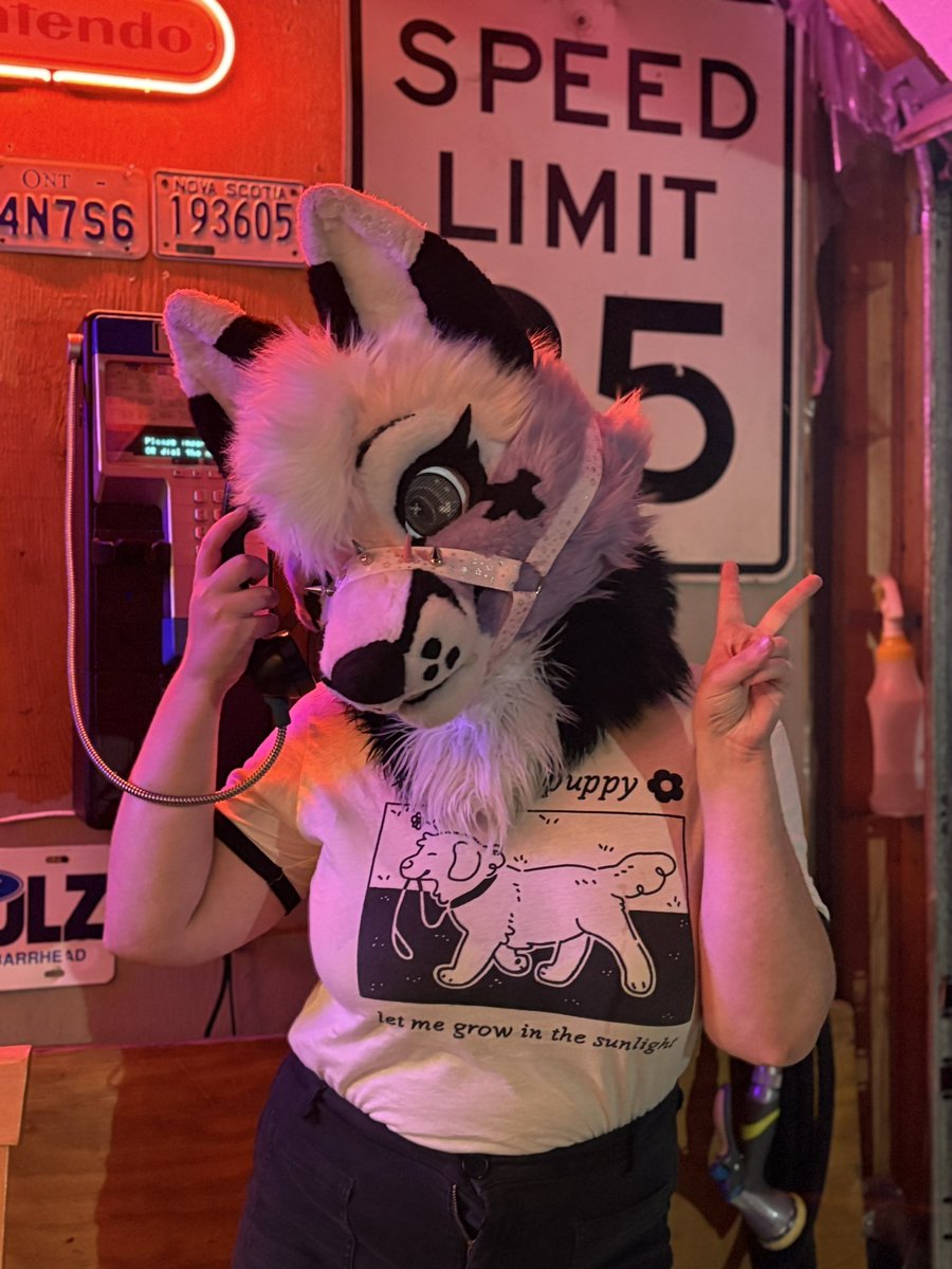Party night! 🐕💜