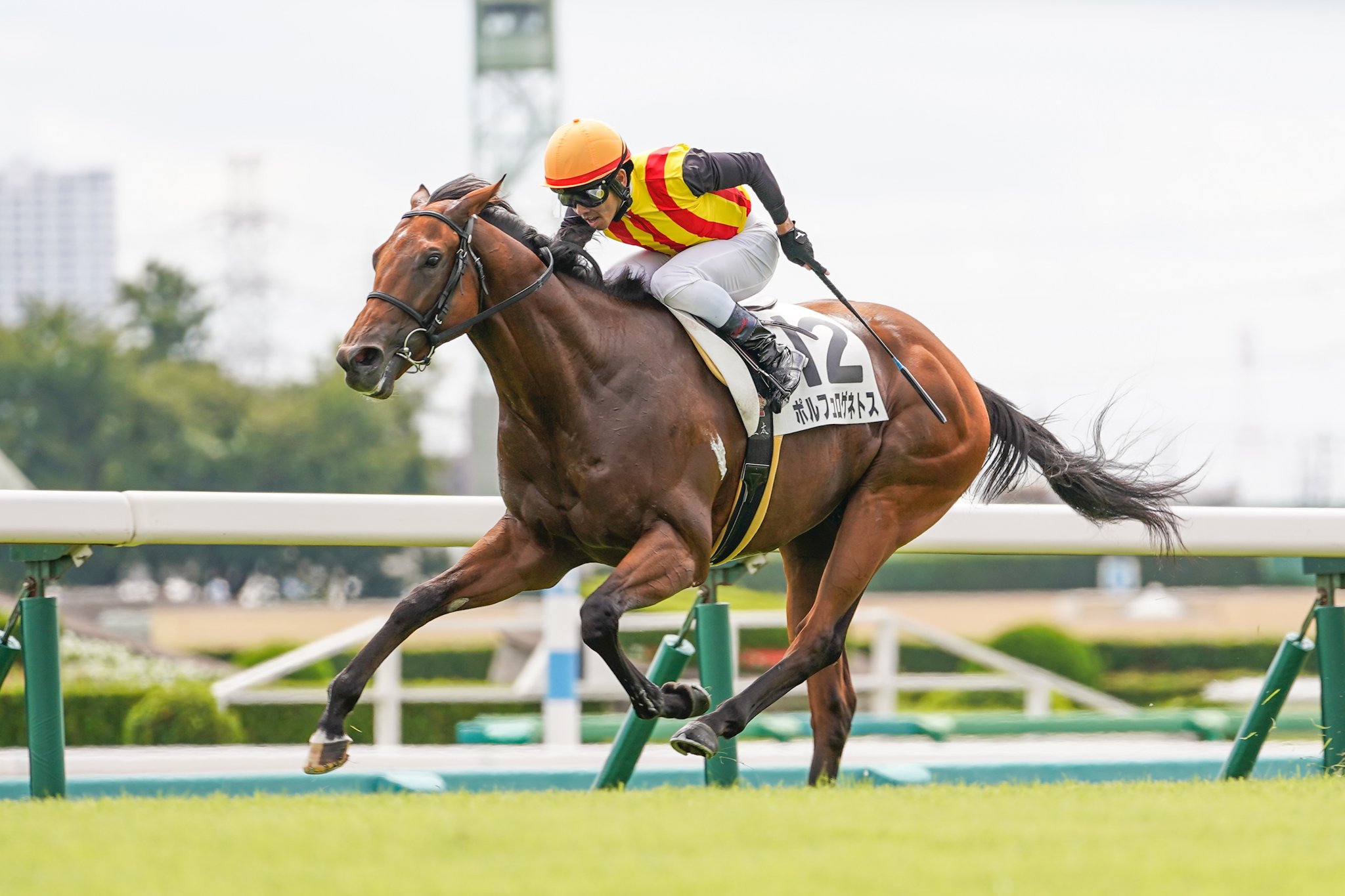 競馬 日曜小倉競馬場の注目激走馬…小倉11R小倉記念・G3
