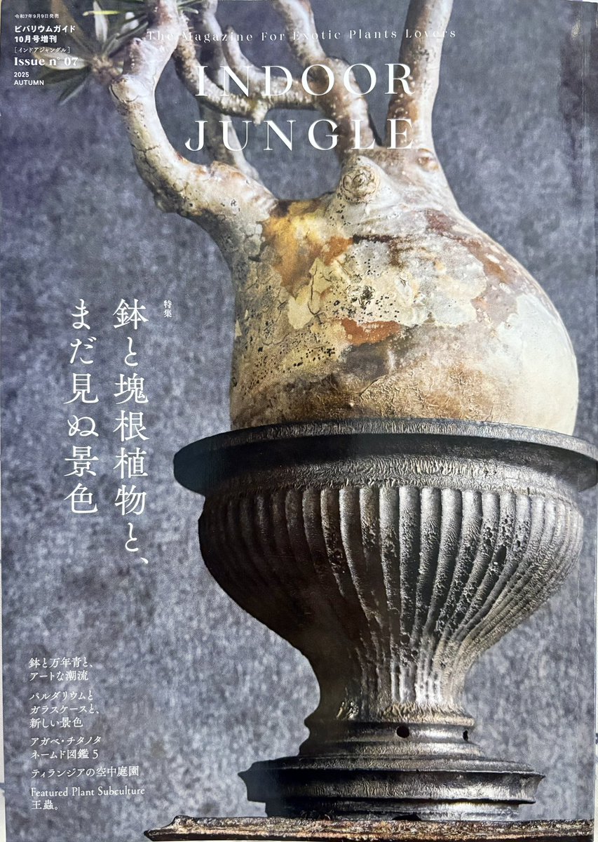 ビバリウムガイド10月号の増刊
INDOOR JUNGLE
購入しました。
素敵な鉢と塊根植物の組み合わせやパルダリウム、チランジアの特集など読み応えたっぷりですし、植物ライトの話にひとつハオルチアの話も出ていたので買ってよかったです。