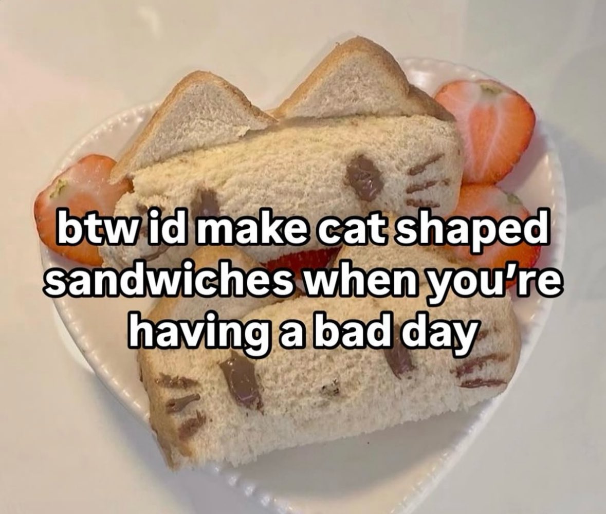 More Cats (@evenmorecats) on Twitter photo 