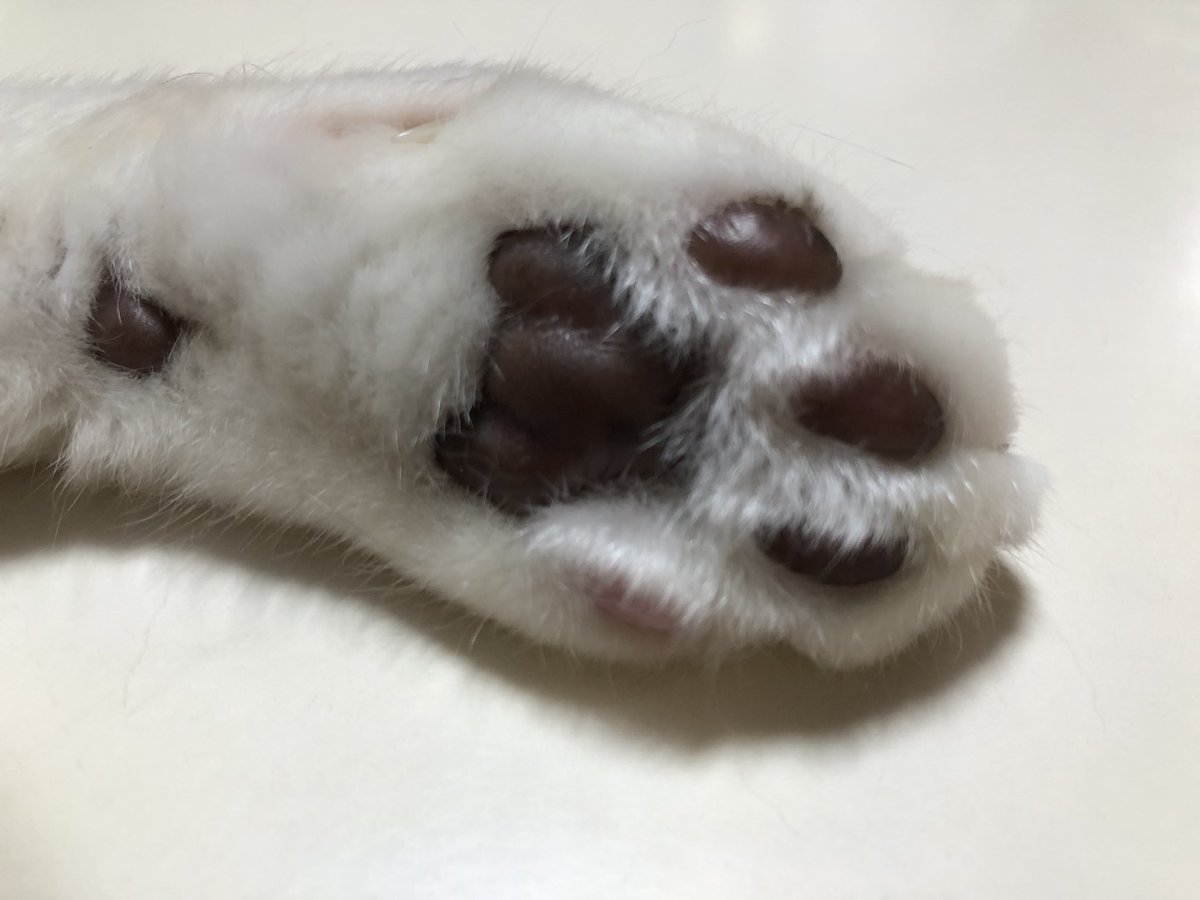 今日は雨降るんかな😂
二日酔いで仕事だるい🤣