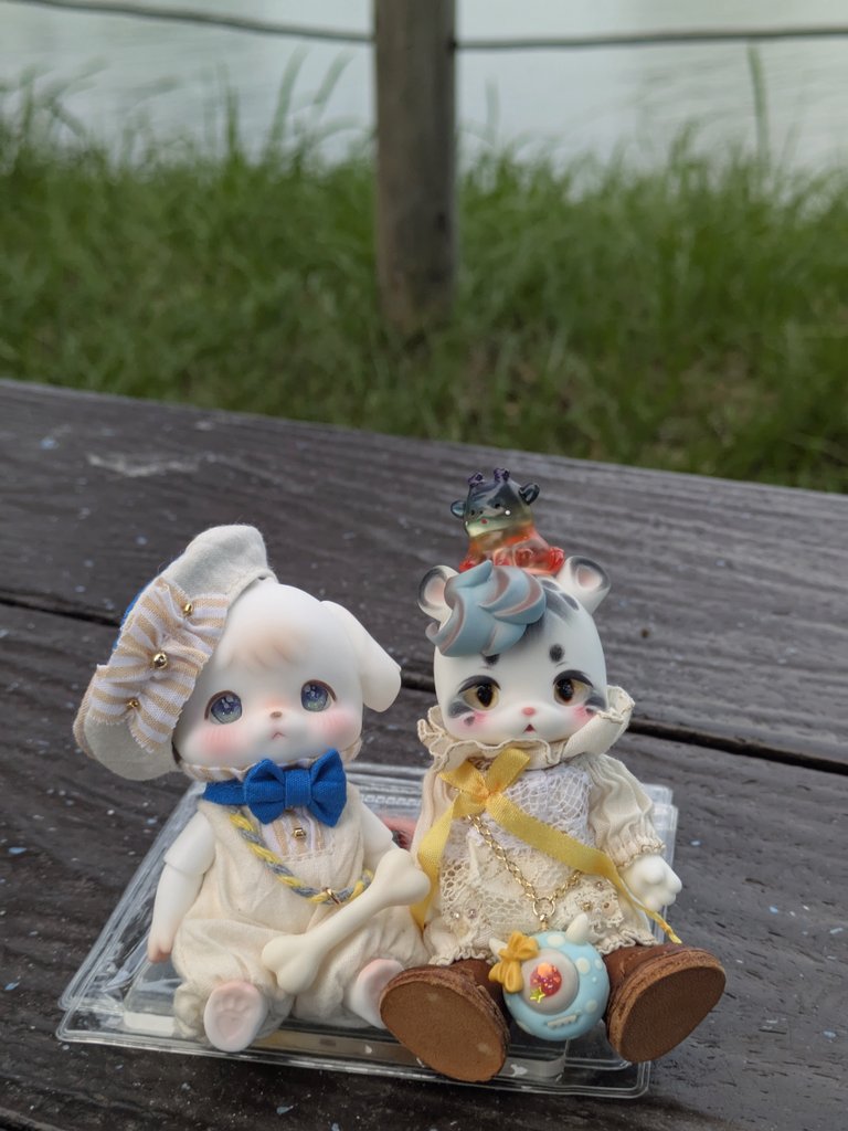 朝散歩したよ🐾

#kumukuku #littleLINAchouchou