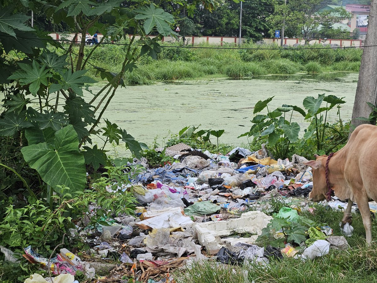 Dig_Borah's tweet photo. Request @gmc_guwahati to kindly arrange to clean the garbage at Nizarapur Main Road, near Ayurvedic college, Jalukbari which is causing inconvenience and hygiene issues. If possible may kindly arrange a dustbin at the area. @DCKamrupMetro @mrigen_sarania https://t.co/VCVe5Jq5MD