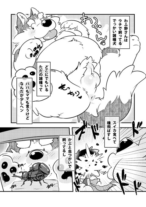 けもケしんかんできたよ!!! [R-18]【けもケット16】しこたま!となりのわふ野さん【新刊】 | 鷹呑/21けもケM-20 #pixiv