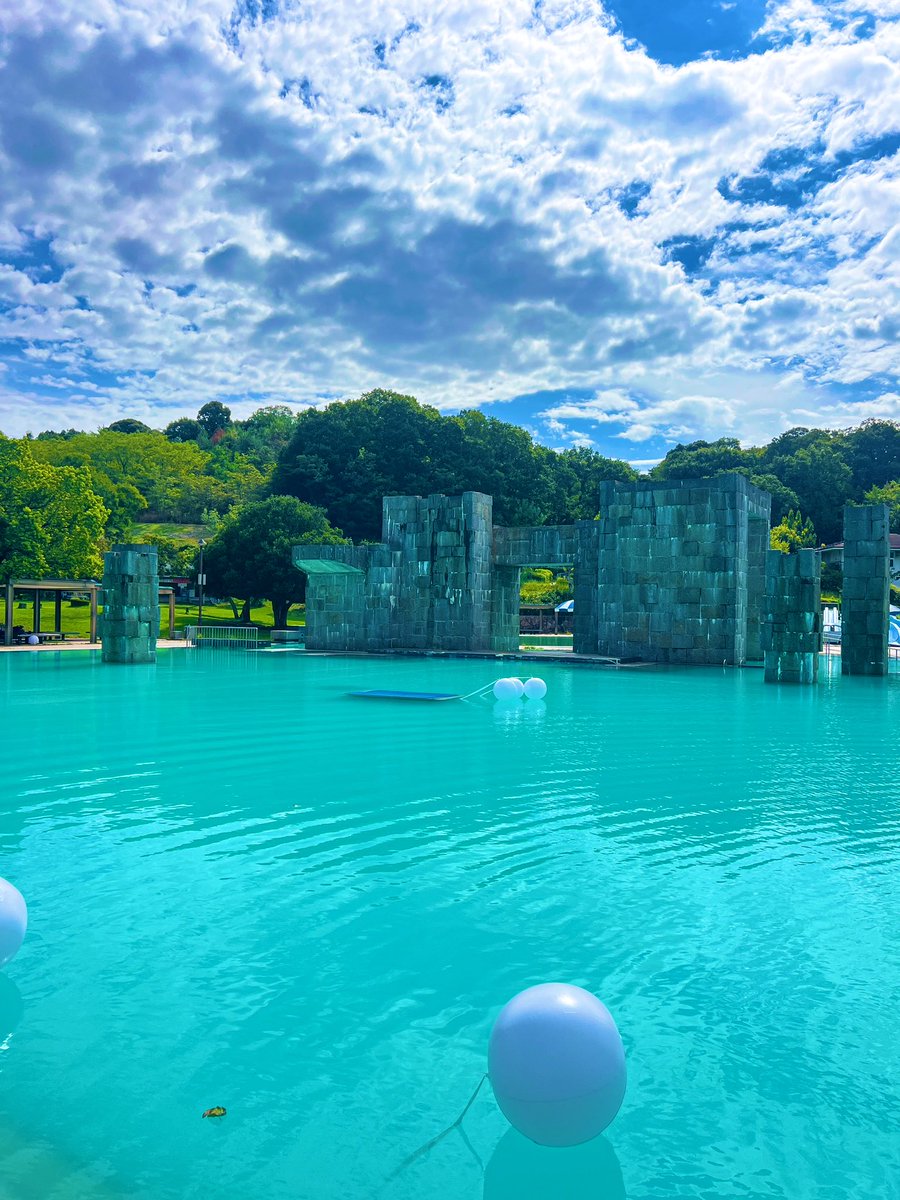 京都下鴨茶論🦆 tweet media