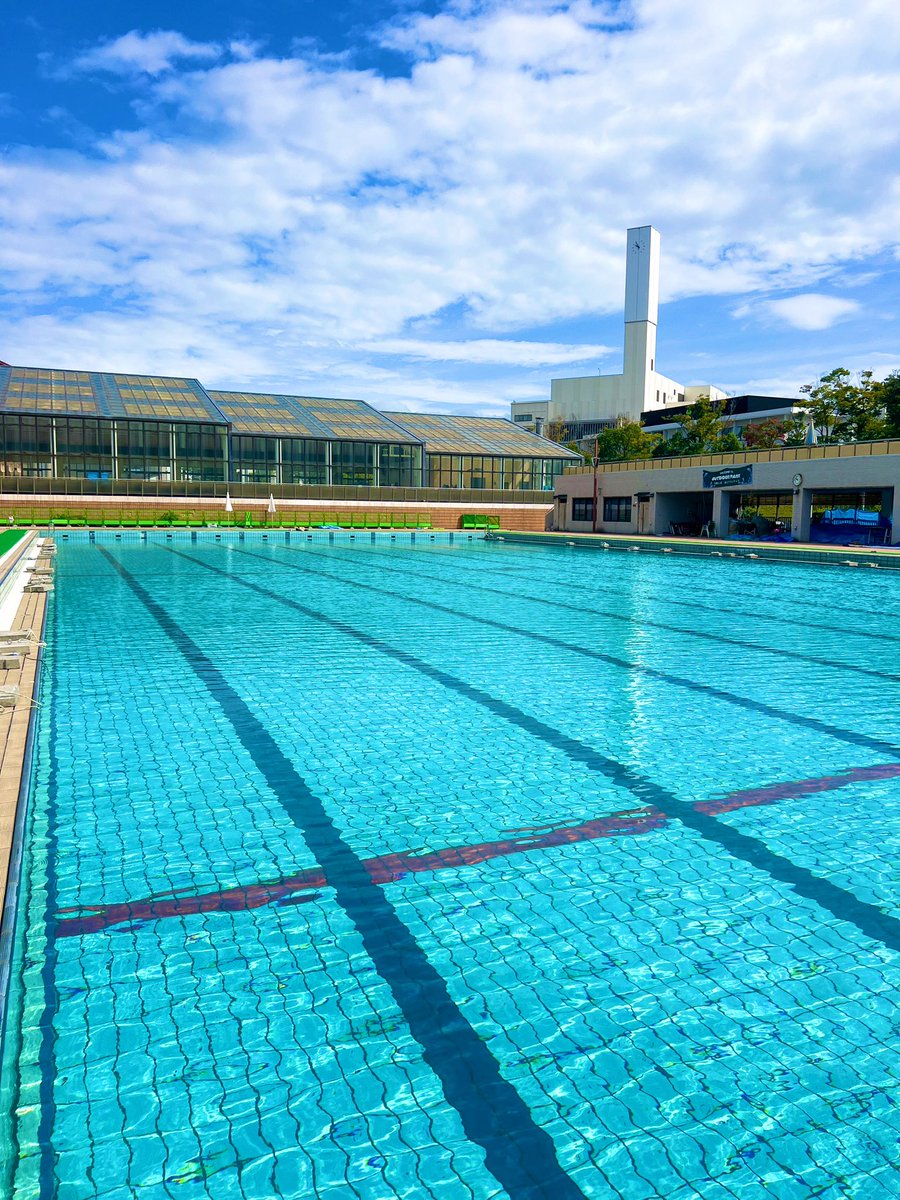 京都下鴨茶論🦆 tweet media