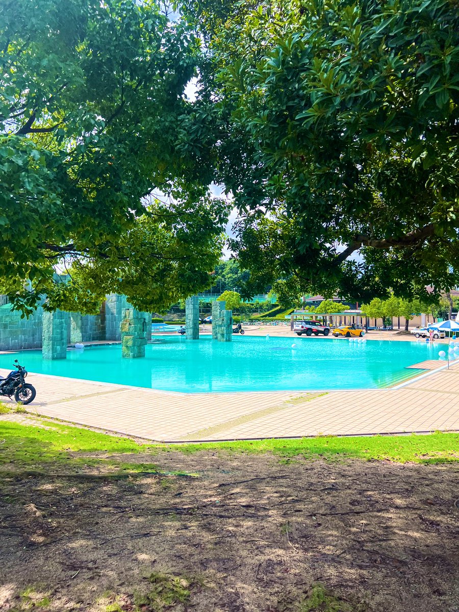 京都下鴨茶論🦆 tweet media