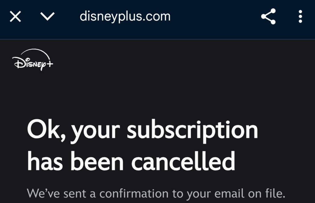 Stephen (or Beans) tweet media