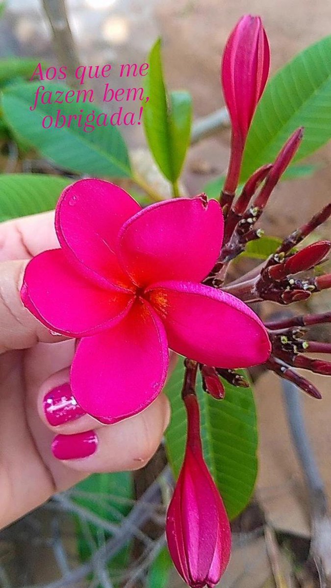 Lauren Sousa (@laurensousa1) on Twitter photo 