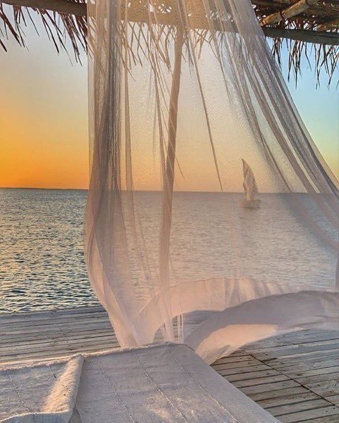 aestheticspost_'s tweet image. Need