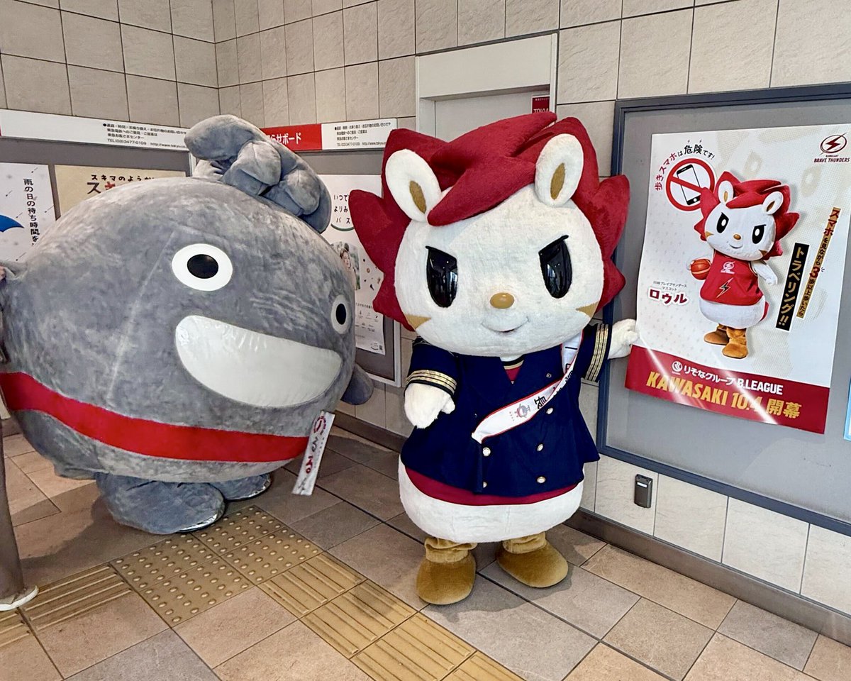 roar_kawasaki's tweet image. 🚈ロウル1日駅長🚈
本日9/20(土)、ロウルが東急電鉄武蔵小杉駅駅長を務めております👨🏻‍✈️

駅長業務として構内をお掃除🧹✨

混雑回避のため詳細な実施内容・時間・出演場所は公表しておりません。また、駅スタッフへのお問い合わせはお控えください🙇🏻‍♀️
#川崎ブレイブサンダース
#ロウルかわいいよロウル