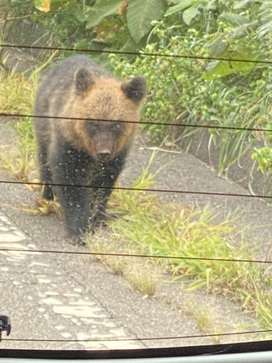 今流行りの……

みっけ🧸🫣

てか、親はどこ💦