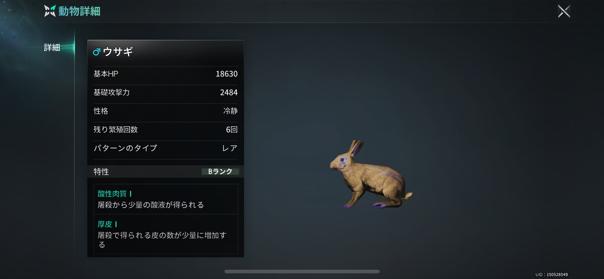 ごぉるでんうさこ オルゴールのスイッチを入れ、素敵なメロディーにうっとりする