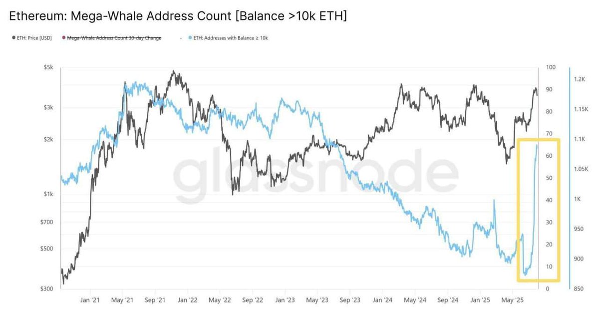 Addresses holding 10K+ ETH are on the rise!
 This significant accumulation is one of the fastest increases in recent years and signals strong bullish sentiment for Ethereum.
#ETH #Ethereum #Crypto #Bullish #MarketAnalysis