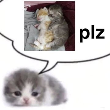 swiftpelada's tweet image. 